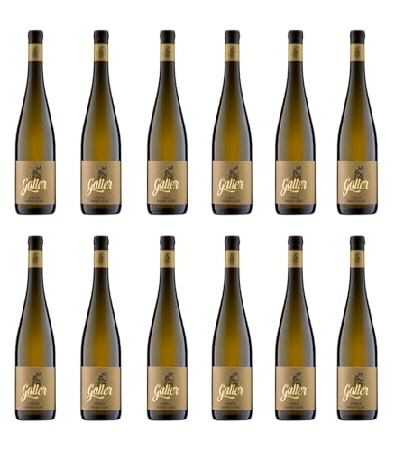 Heinrich: Cabernet blanc Meisterwerk mit Goldprämierung und faszinierender Aromenvielfalt Weingut Galler Pfalz Sur Lie Holzfass 12x Heinrich: Cabernet blanc Meisterwerk mit Goldprämierung und faszinierender Aromenvielfalt Weingut Galler Pfalz Sur Lie Holzfass 12x von Weingut Galler