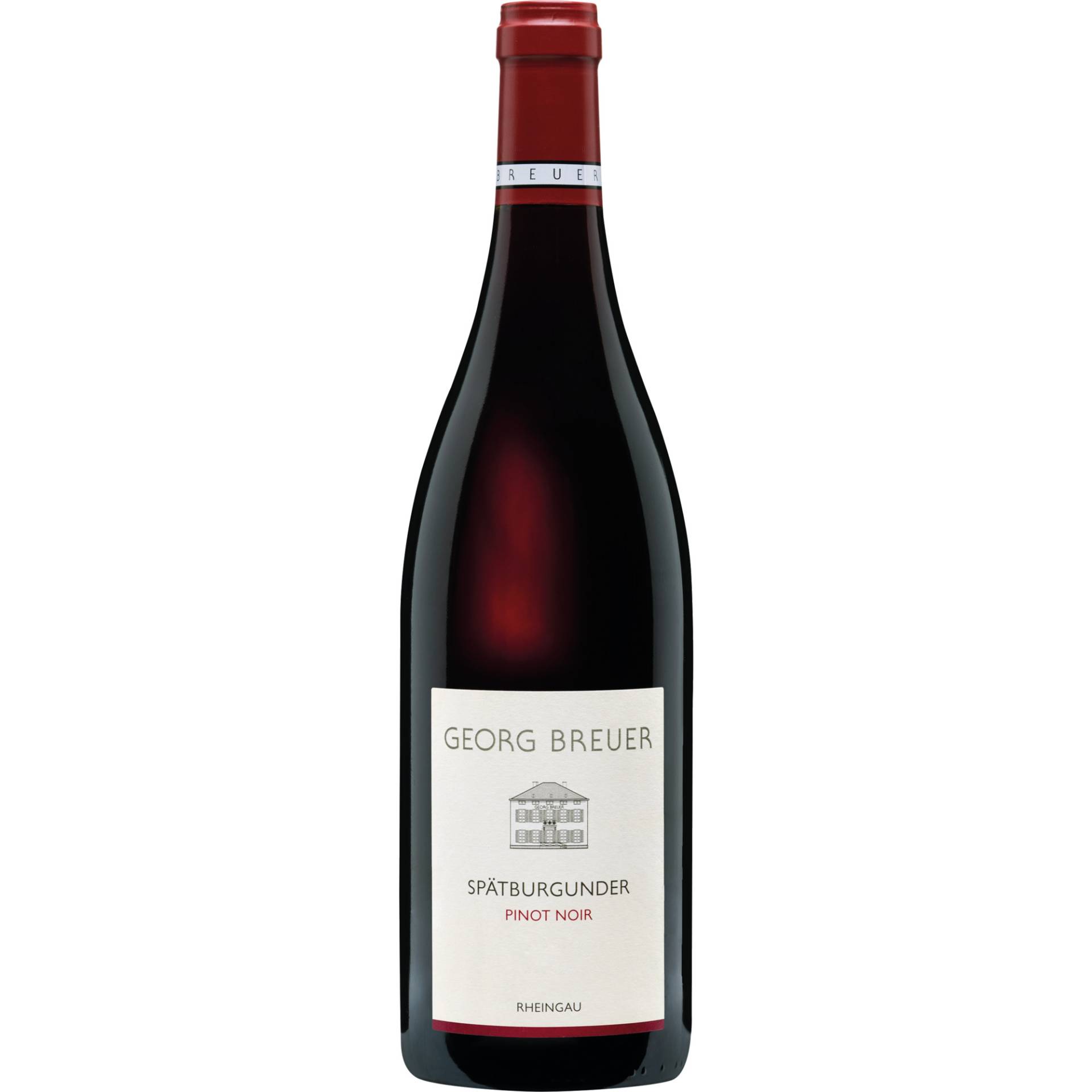 Georg Breuer Pinot Noir, Trocken, Rheingau, Rheingau, 2021, Rotwein von Weingut Georg Breuer, D - 65385 Rüdesheim