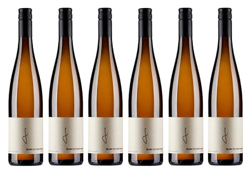 6x 0,75l - 2023er - Weingut Georg Fußer - Blanc de Pinot Noir - feinherb - Qualitätswein Pfalz - Deutschland - Weißwein halbtrocken 6x 0,75l - 2023er - Weingut Georg Fußer - Blanc de Pinot Noir - feinherb - Qualitätswein Pfalz - Deutschland - Weißwein halbtrocken von Weingut Georg Fußer