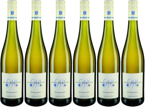 6x Riesling Gutswein trocken Bio 2021 - Weingut Georg Mosbacher, Pfalz - Weißwein von Weingut Georg Mosbacher