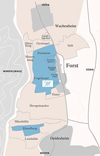 Mosbacher Riesling Forster Jesuitengarten GG Pfalz - 2020 von Weingut Georg Mosbacher