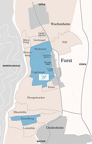Riesling Forster Jesuitengarten Grosses Gewächs - 2018 - Mosbacher Riesling Forster Jesuitengarten Grosses Gewächs - 2018 - Mosbacher von Weingut Georg Mosbacher