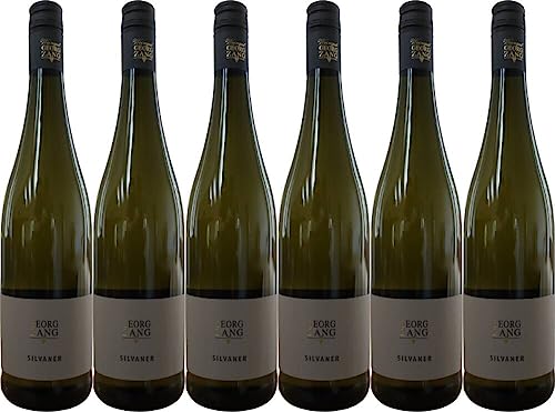 6x Silvaner Kabinett trocken 2023 - Weingut Georg Zang, Franken - Weißwein von Weingut Georg Zang