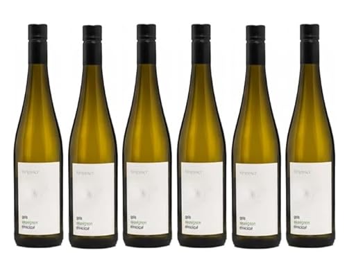 6x 0,75l - 2022er - Weingut Griesserhof - Gols - Sauvignon - Eisacktal - Valle Isarco D.O.P. - Südtirol - Italien - Weißwein trocken 6x 0,75l - 2022er - Weingut Griesserhof - Gols - Sauvignon - Eisacktal - Valle Isarco D.O.P. - Südtirol - Italien - Weißwein trocken von Weingut Griesserhof