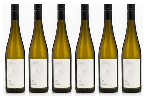6x 0,75l - 2023er - Weingut Griesserhof - Gall - Kerner - Eisacktal - Valle Isarco D.O.P. - Südtirol - Italien - Weißwein trocken 6x 0,75l - 2023er - Weingut Griesserhof - Gall - Kerner - Eisacktal - Valle Isarco D.O.P. - Südtirol - Italien - Weißwein trocken von Weingut Griesserhof