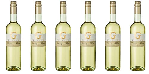 6x Sauvignon Blanc trocken 2023 - Weingut Grosch, Rheinhessen - Weißwein von Weingut Grosch
