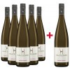 Haltinger 2017 5+1 Roter Gutedel trocken Paket von Weingut Haltinger