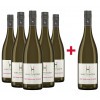 Haltinger 2018 5+1 Blanc de Noirs trocken Paket von Weingut Haltinger
