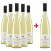 Haltinger  5+1 Summerzitt Secco Paket von Weingut Haltinger