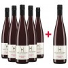 Haltinger  5+1 Summerzitt Secco rot Paket von Weingut Haltinger