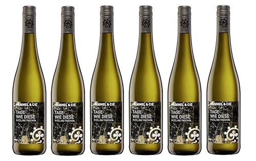 6x 0,75l - Weingut Hammel - Tage wie diese - Riesling - Qualitätswein Pfalz - Deutschland - Weißwein trocken von Weingut Hammel