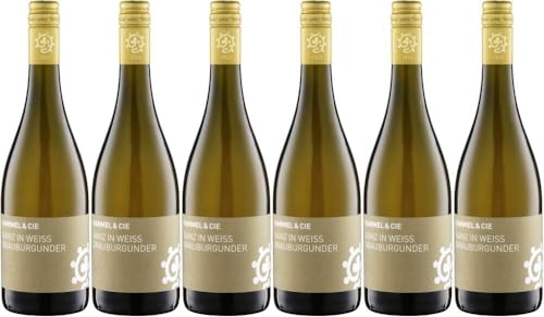 6x Grauburgunder Ganz in Weiss trocken 2022 - Weingut Hammel, Pfalz - Weißwein von Weingut Hammel