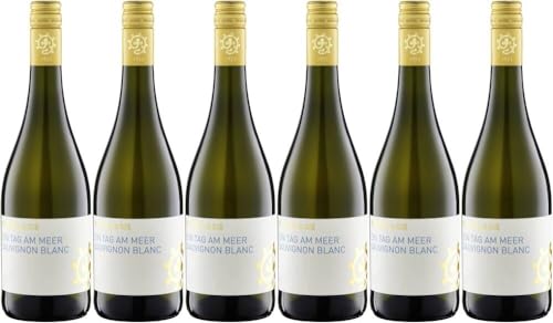 6x Sauvignonblanc Ein Tag am Meer trocken 2023 - Weingut Hammel, Pfalz - Weißwein von Weingut Hammel