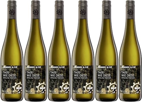 6x Tage wie diese Riesling trocken 2023 - Weingut Hammel, Pfalz - Weißwein von Weingut Hammel