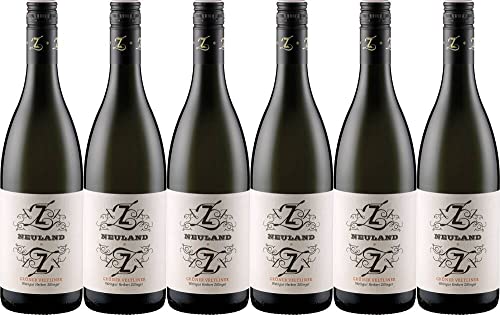 6x Neuland Grüner Veltliner - Bio-Dynamisch 2021 - Weingut Herbert Zillinger, Weinviertel - Weißwein 6x Neuland Grüner Veltliner - Bio-Dynamisch 2021 - Weingut Herbert Zillinger, Weinviertel - Weißwein von Weingut Herbert Zillinger