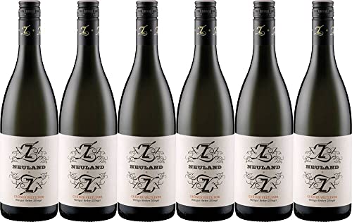 6x Neuland Grüner Veltliner - Bio-Dynamisch 2021 - Weingut Herbert Zillinger, Weinviertel - Weißwein von Weingut Herbert Zillinger