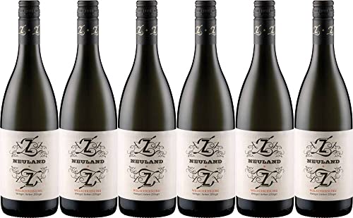 6x Neuland Welschriesling - Bio-Dynamisch 2020 - Weingut Herbert Zillinger, Weinviertel - Weißwein 6x Neuland Welschriesling - Bio-Dynamisch 2020 - Weingut Herbert Zillinger, Weinviertel - Weißwein von Weingut Herbert Zillinger