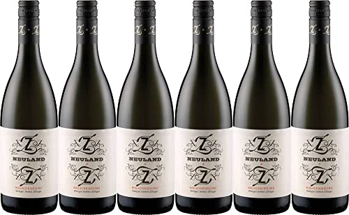 6x Neuland Welschriesling - Bio-Dynamisch 2020 - Weingut Herbert Zillinger, Weinviertel - Weißwein von Weingut Herbert Zillinger
