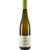 Honold 2022 Cabernet Blanc Zukunftswein Piwi trocken von Weingut Honold