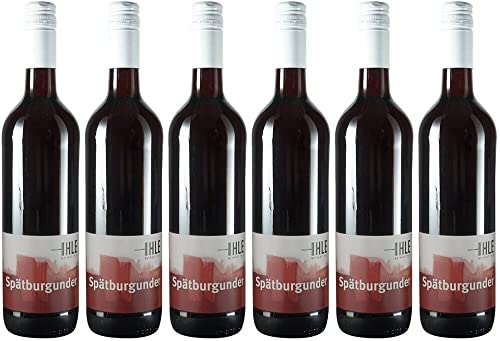 6x Spätburgunder 2020 - Weingut Ihle, Baden - Rotwein von Weingut Ihle