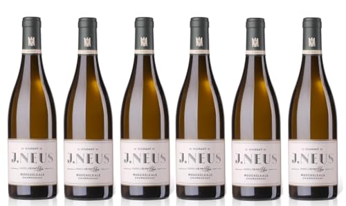 6x 0,75l - 2022er - Weingut J. Neus - Muschelkalk - Chardonnay - VDP.Gutswein - Qualitätswein Rheinhessen - Deutschland - Weißwein trocken 6x 0,75l - 2022er - Weingut J. Neus - Muschelkalk - Chardonnay - VDP.Gutswein - Qualitätswein Rheinhessen - Deutschland - Weißwein trocken von Weingut J. Neus