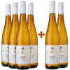 WirWinzer Select 2023 4+2 Nahetal Riesling von Weingut Jakob Schneider