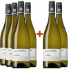 WirWinzer Select 2022 4+2 Flusskiesel Weissburgunder von Weingut Johann Baptist Schäfer