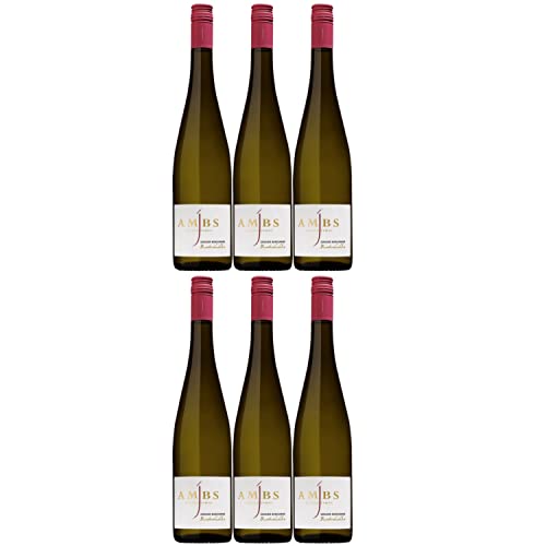 Josef Ambs Grauer Burgunder Buntenhahlen Weißwein deutscher Wein trocken Deutschland (6 Flaschen) Josef Ambs Grauer Burgunder Buntenhahlen Weißwein deutscher Wein trocken Deutschland (6 Flaschen) von Weingut Josef Ambs