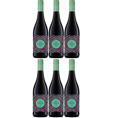 Josef Ambs Herz über Kopf Rotwein badischer Wein trocken Deutschland I Visando Paket (6 x 0,75l) von Weingut Josef Ambs