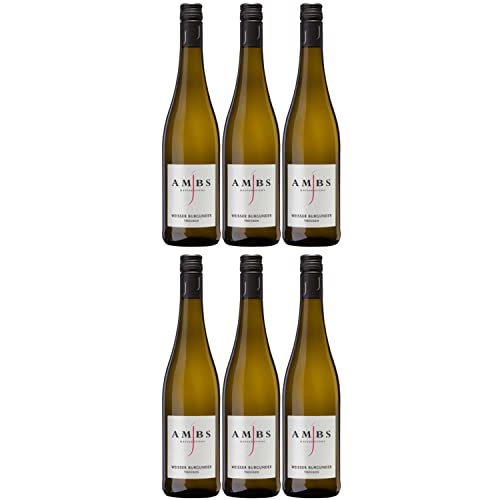Josef Ambs Weißer Burgunder Weißwein Wein trocken Deutschland I Versanel Paket (6 x 0,75l) von Weingut Josef Ambs
