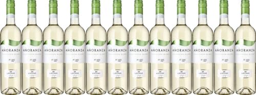 12x Anoranza Blanco Sauvignon Blanc 2023 - Weingut Juan Ramón Lozano, Castilla-La Mancha - Weißwein von Weingut Juan Ramón Lozano