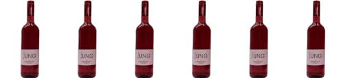6x Dornfelder Rosé 2018 - Weingut Jung - Wein- und Likörgut, Pfalz - Rosé von Weingut Jung - Wein- und Likörgut
