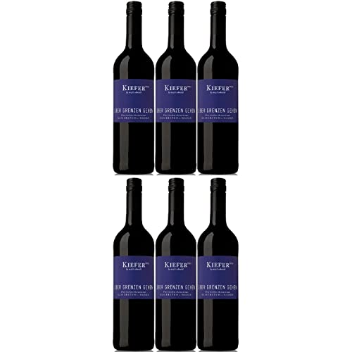 Weingut Kiefer Über Grenzen gehen QbA Rotwein Wein Cuvee Trocken Deutschland I Visando Paket (6 x 0,75l) von Weingut Kiefer