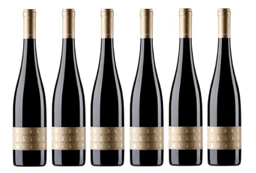 6x 0,75l - 2023er - Weingut Kirchner - Freinsheimer Merlot - Qualitätswein Pfalz - Deutschland - Rotwein trocken von Weingut Kirchner