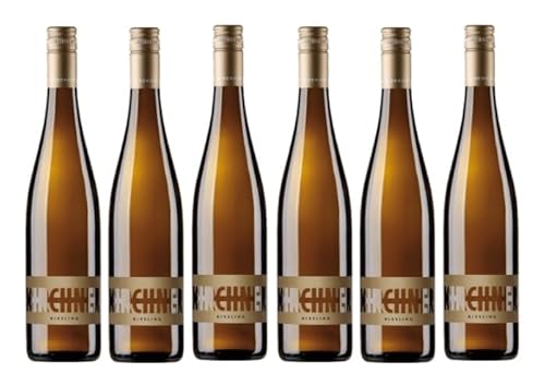 6x 0,75l - 2023er - Weingut Kirchner - Stadtmauer - Riesling - Qualitätswein Pfalz - Deutschland - Weißwein trocken 6x 0,75l - 2023er - Weingut Kirchner - Stadtmauer - Riesling - Qualitätswein Pfalz - Deutschland - Weißwein trocken von Weingut Kirchner