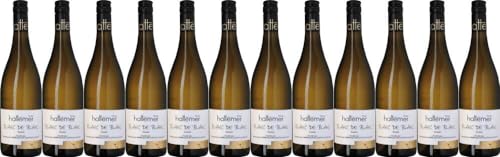 12x Hattemer Weißweincuvée 'Blanc de Blanc' 2023 - Weingut Klaus Hattemer, Rheinhessen - Weißwein von Weingut Klaus Hattemer
