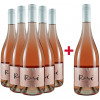 Knauß 2022 5+1 Paket Secco Rosé halbtrocken BIO von Weingut Knauß