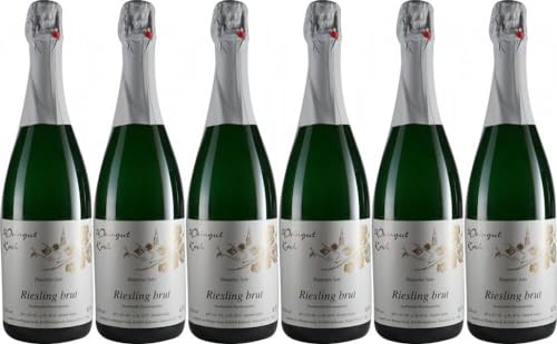 6x Riesling Sekt brut 2022 - Weingut Koch, Pfalz - Weißwein von Weingut Koch