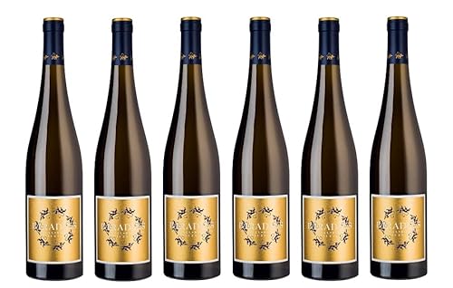 6x 0,75l - Weingut Korrell - Kreuznacher Paradies - Riesling - Qualitätswein Nahe - Deutschland - Weißwein trocken von Weingut Korrell