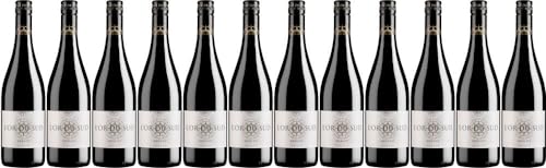 12x Merlot 2022 - Weingut L'Or du Sud - Foncalieu, Languedoc - Rotwein von Weingut L'Or du Sud - Foncalieu