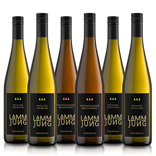 Weinpaket Weingut Lamm Jung Weißwein Rheingau Riesling trocken Spätlese Spätburgunder 6 x 0.75 l von Weingut Lamm Jung KG