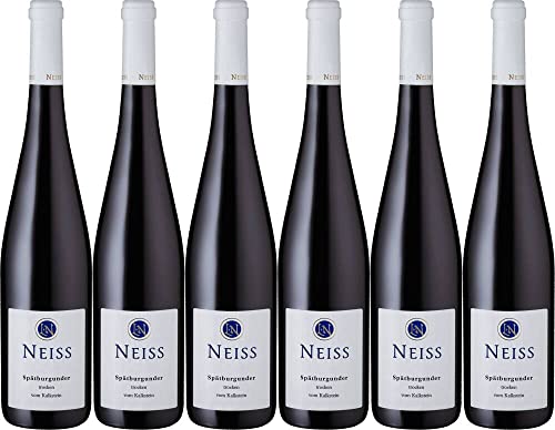 6x 'Vom Kalkstein' Spätburgunder 2019 - Weingut Ludi Neiss, Pfalz - Rotwein von Weingut Ludi Neiss