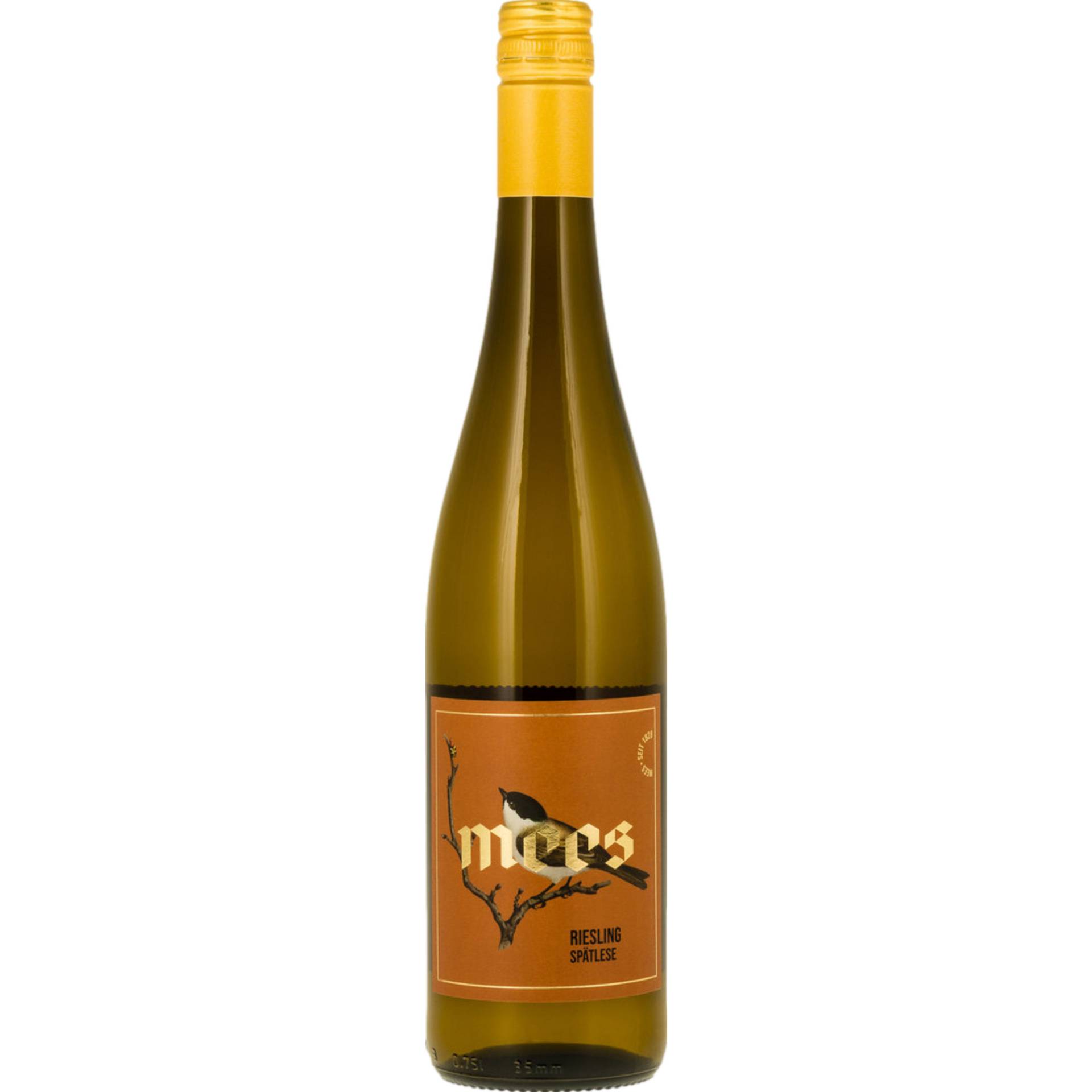 Mees Paradies Riesling Spätlese, Fruchtsüß, Nahe, Nahe, 2022, Weißwein Mees Paradies Riesling Spätlese, Fruchtsüß, Nahe, Nahe, 2022, Weißwein von Weingut Mees GbR, Hackenheimer Straße 21, 55545 Bad Kreuznach, Deutschland