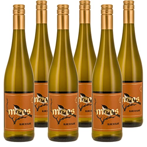 Weingut Mees | BLANC DE BLANC TROCKEN 2021 NAHE GUTSWEIN | Weißwein Cuvee aus Chardonnay & Riesling Wein Deutschland Nahe Paket (6 x 750 ml) Weisswein Cuvee von Weingut Mees
