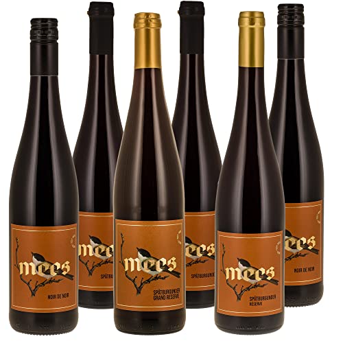 WEINGUT MEES | Rotwein trocken Probierpaket | 6 Flaschen prämierter trockener Rot-Wein aus Deutschland im Set | Wein-Paket (6 x 750 ml) von WEINGUT MEES