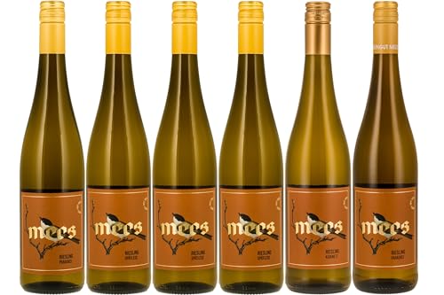 WEINGUT MEES | Paradies Riesling Wein - von trocken bis fruchtig süss Probierpaket | Hochwertiger Riesling von der Nahe im Wein-Set | Weißwein aus Deutschland (6 x 750 ml) von WEINGUT MEES