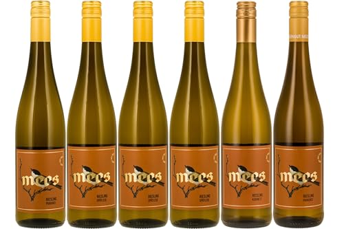 WEINGUT MEES | Paradies Riesling Wein & Sekt - trocken & fruchtig Probierpaket | Hochwertiger Riesling von der Nahe im Wein-Set | Weißwein aus Deutschland (6 x 750 ml) von WEINGUT MEES