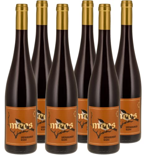 WEINGUT MEES | Spätburgunder Rotwein trocken 2020, Kreuznacher Rosenberg | Hochwertiger Pinot Noir Rot-Wein | LAGENWEIN Deutschland Nahe Paket (6 x 750 ml) 100% Blauer Spätburgunder… von WEINGUT MEES