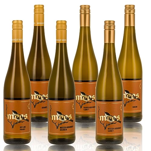 Weingut Mees | WEISSWEIN FRUCHTIG & FEINHERB PROBIERPAKET | Prämiertes Weißwein-Set von der Nahe | Qualitätswein aus Deutschland (6 x 750 ml) von WEINGUT MEES