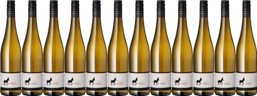 12x Little Donkey Bender Pfalz 2023 - Weingut Michael und Manuel Bender, Pfalz - Weißwein von Weingut Michael und Manuel Bender